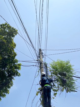 Optimalkan Jaringan di Sidoarjo: PLN Icon Plus Lakukan Cleansing Utilisasi Port dan Perapihan FAT