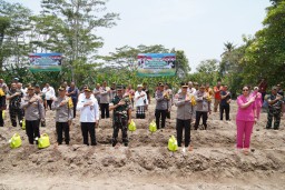 Pangdam Zamroni, Hadiri Penanaman Pangan Serentak