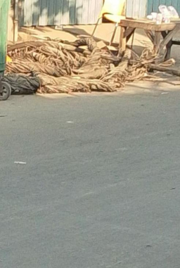 Di Dugaan Pencurian Kabel Londo Milik PLN Di Kota Surabaya