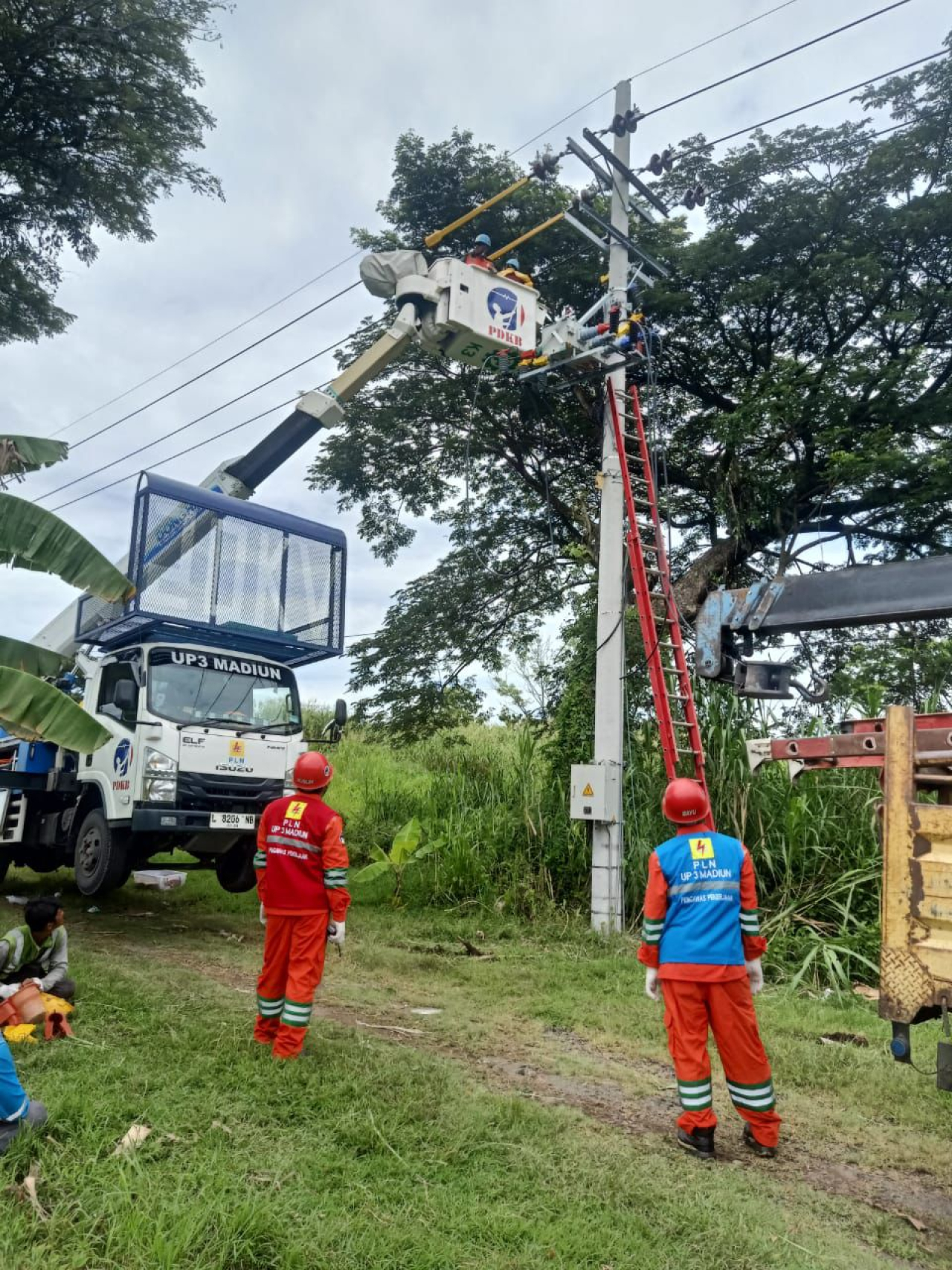 PLN Gelar Pemeliharaan Jaringan Serentak Tingkatkan Keandalan Listrik Jelang Nataru di Jawa Timur