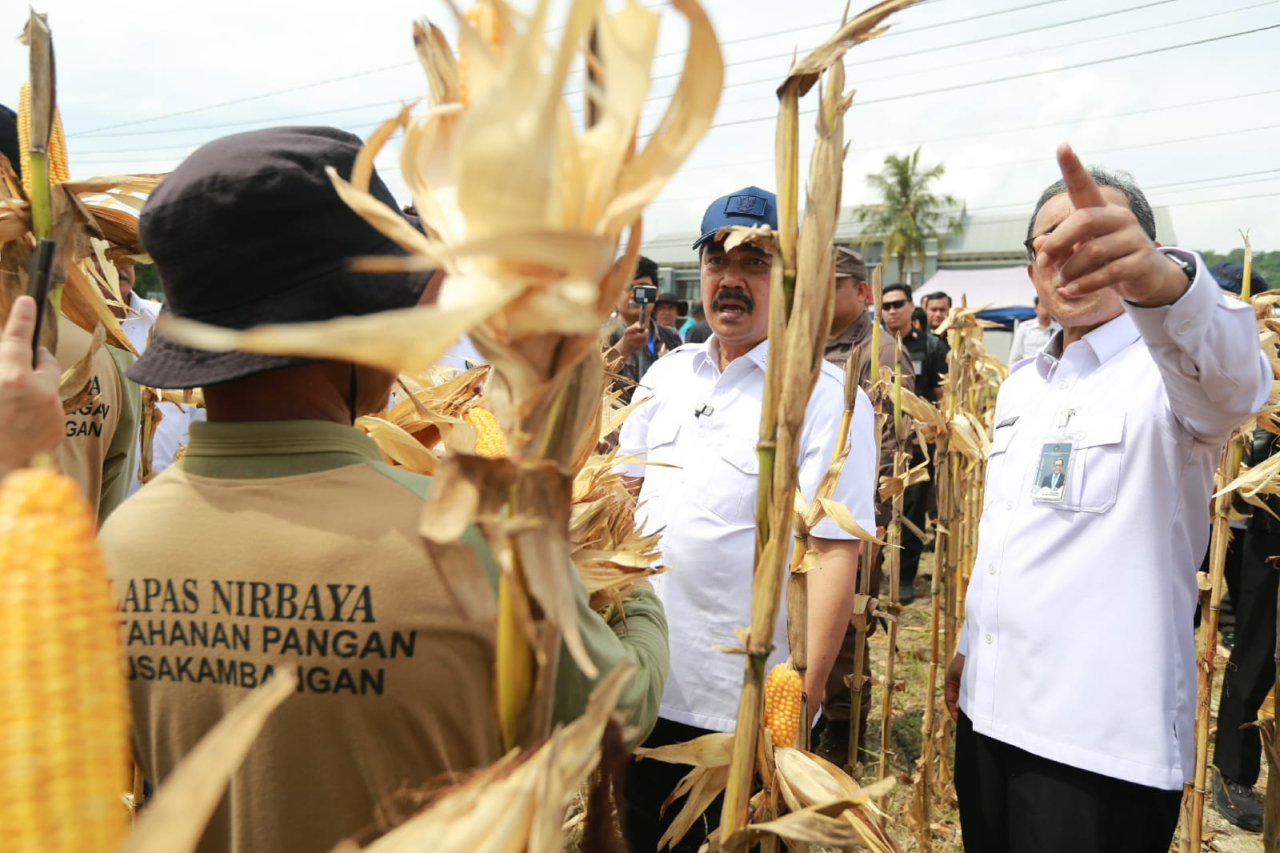 Menteri Imigrasi dan Pemasyarakatan Buka Panen Perdana di Nusakambangan