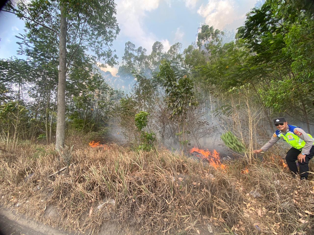 Kebakaran Hutan lindung Bukit Bun Bulan, ini yang dilakukan Polsek Kintamani